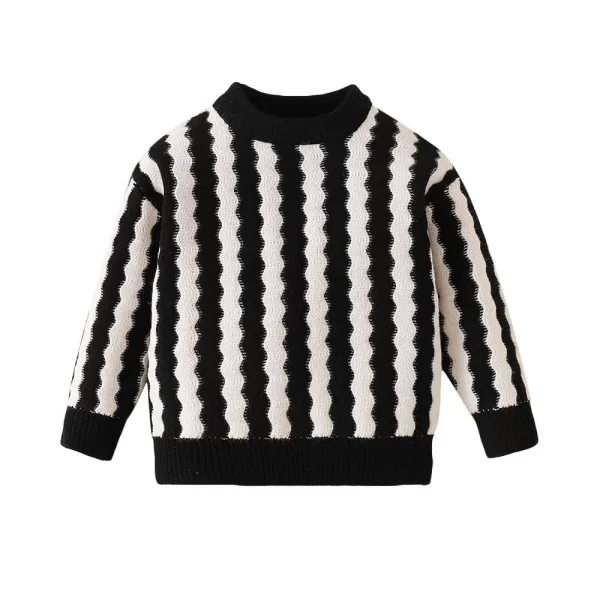 Hopscotch Boys Polyester Blend Round Neck Sweaters - Image 2