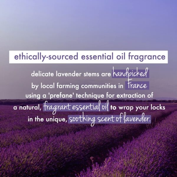 Love Beauty & Planet Argan Oil & Lavender Hair Mask For Frizzy Hair | 50 Ml - Image 7